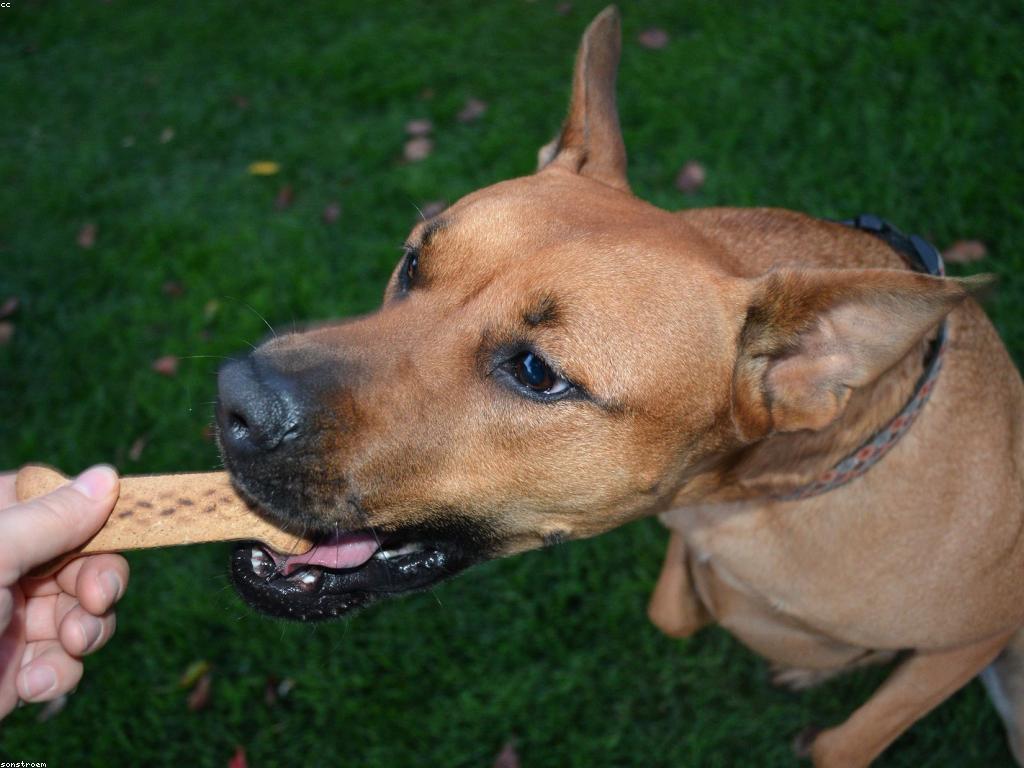 ការណែនាំអំពីប្រាក់រង្វាន់