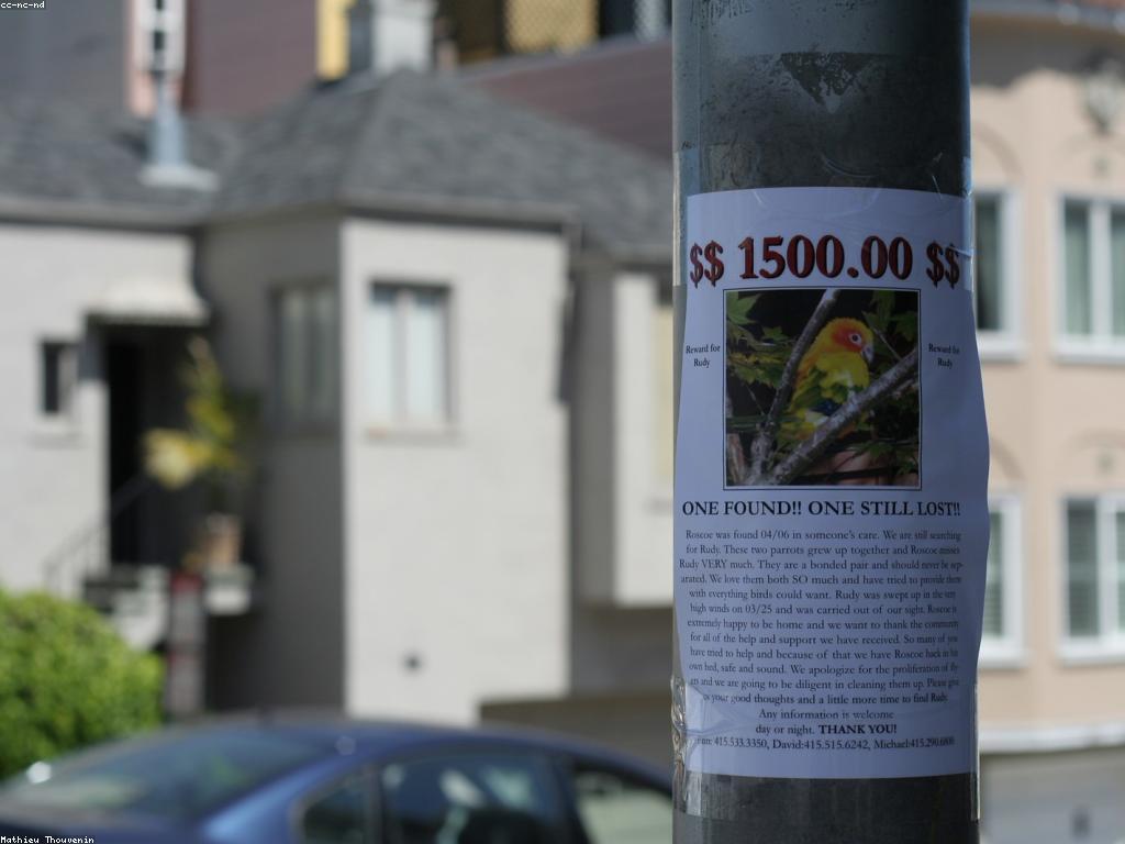 ការណែនាំអំពីប្រព័ន្ធប្រាក់រង្វាន់សម្រាប់អាជីវកម្ម